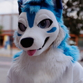 Awoo26-G200-12