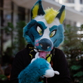 Awoo26-G200-15