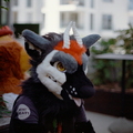 Awoo26-G200-19
