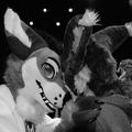 nfc 2d awoo26-D400-2 nfc 2d awoo26-D400-2