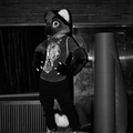 nfc 2d awoo26-D400-12 (1 visits) nfc 2d awoo26-D400-12