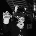 nfc 2d awoo26-D400-13 nfc 2d awoo26-D400-13