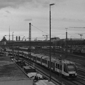CSDIngo26-XP2-37